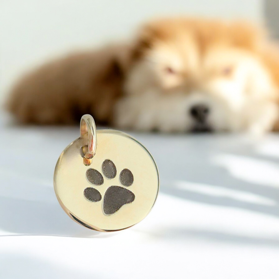 54930_630__vyr_532Zlaty-privesok-nedailon-s-LABKOU-9